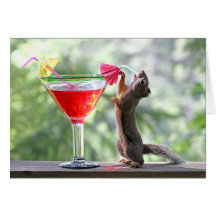 Squirrel Drinking Tropical Drink Card