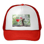 Squirrel Drinking Tropical Drink Mesh Hat