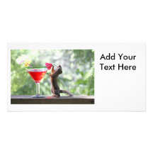 Squirrel Drinking Tropical Drink Photo Cards