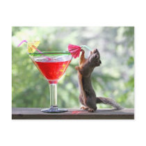 Squirrel Drinking Tropical Drink Post Cards