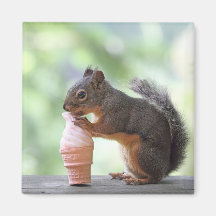 Squirrel Eating an Ice Cream Cone Fridge Magnet
