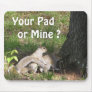 Squirrel  Funny Mouse pad