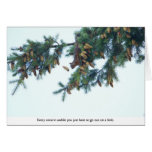 Squirrel Going Out on a Limb cards