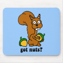 squirrel got nuts