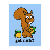 squirrel got nuts