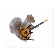 Squirrel Guitar Postcards