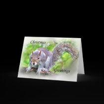 Squirrel, Happy Christmas Card, cards