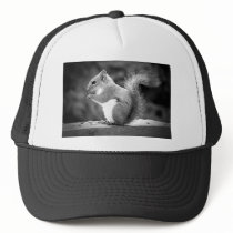 Squirrel Hats