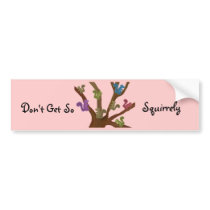 Squirrel Haven