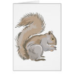 Squirrel Illustration cards