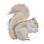 Squirrel Illustration stickers