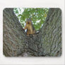 Squirrel in a tree mousepad unique gift ideas