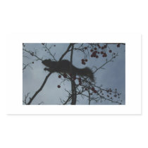Squirrel in a Tree - products magnets tshirts Rectangle Sticker