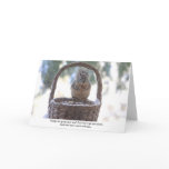 Squirrel in Snow cards