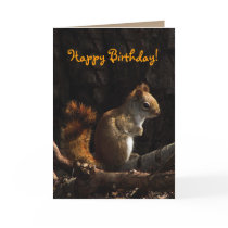 Squirrel in Sunlight Birthday