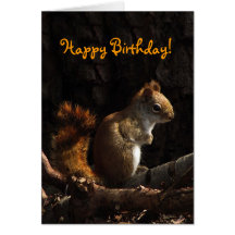 Squirrel in Sunlight Birthday Greeting Card