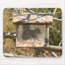 Squirrel in the Birdfeeder 2 Mousepad