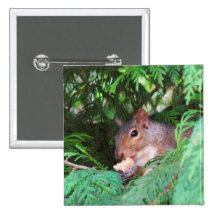Squirrel In Tree Pinback Button