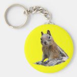 Squirrel Key Chain