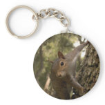 squirrel keychain