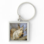 Squirrel keychains