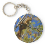 Squirrel Keychains