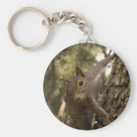 squirrel keychain