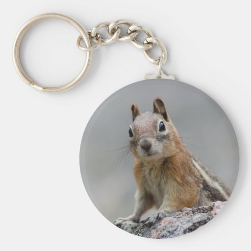 squirrel keychains