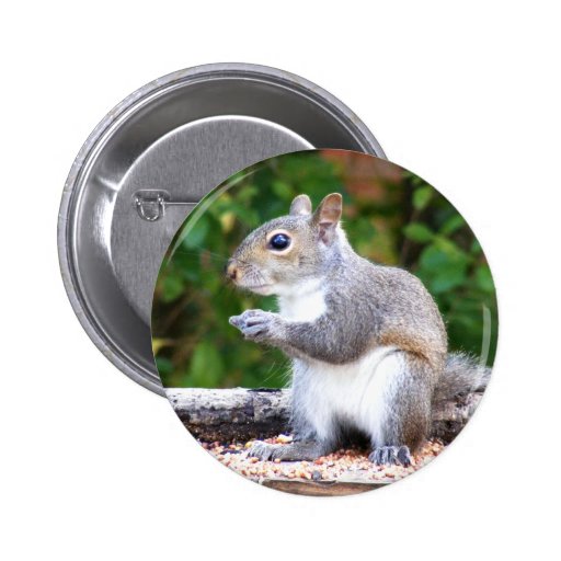 Squirrel Looking Button