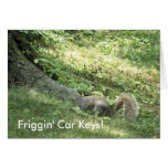 Squirrel looking for car keys