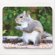 Squirrel Looking Mouse Mats