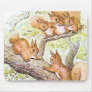 Squirrel Meeting Mousemat