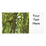 Squirrel Monkey and Baby Photo photo cards