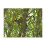Squirrel Monkey and Baby Photo Post Cards