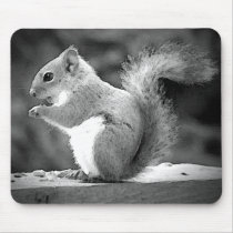 Squirrel Mousepad