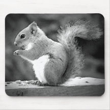 Squirrel Mousepad