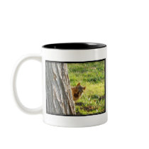 Squirrel mug
