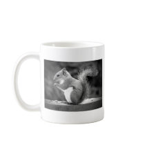 Squirrel Coffee Mugs