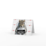 Squirrel Mug Shot cards