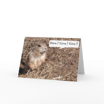 Squirrel Nutjob Birthday Card