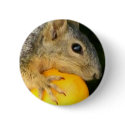 Squirrel of Love_ buttons