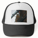 Squirrel on a Pole in Colorado Mesh Hat
