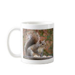 Squirrel on Feeder mugs