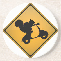Squirrel on Scooter Coasters