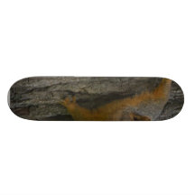 Squirrel On Tree Skate Board Deck