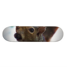 Squirrel on Tree with Nut in Mouth, Closeup Custom Skateboard