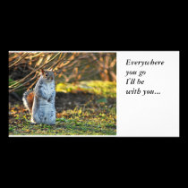 Squirrel or a Meerkat, photo cards