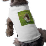 Squirrel Pet Clothing pet clothing