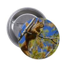 Squirrel Pin