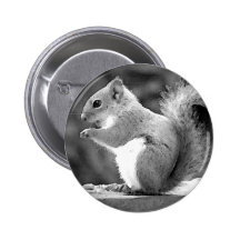 Squirrel Pinback Button